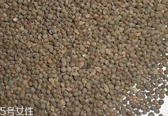 紫蘇子有毒嗎 使用過量會(huì)產(chǎn)生輕微毒素