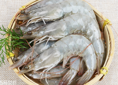 基圍蝦會(huì)過敏嗎 海鮮都易過敏