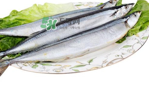 秋刀魚怎么處理？秋刀魚怎么挑選