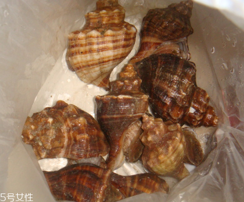 海螺里面的都能吃嗎 內臟是不能吃的