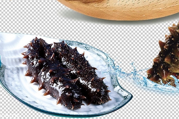 海參為什么越煮越硬 泡發(fā)方法不對(duì)