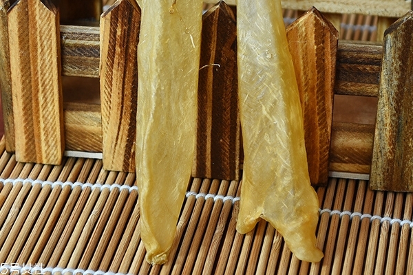 花膠為什么會有小蟲 這個是正?，F(xiàn)象