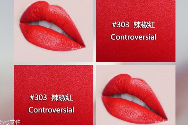 雅詩蘭黛303和203哪個(gè)好看 全新傾慕唇釉303和203對比圖