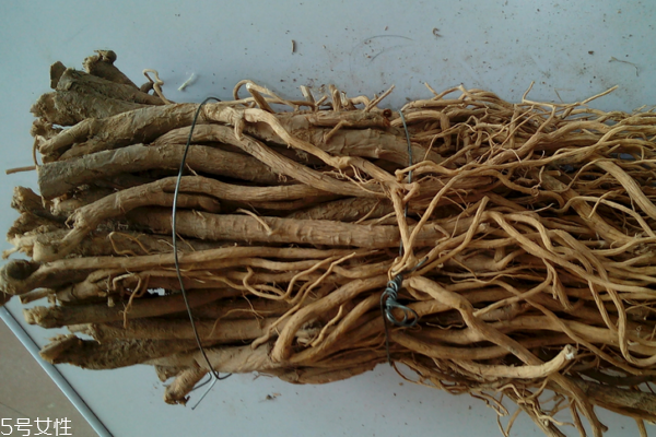 黃芪為什么會生蟲 這個是正?，F(xiàn)象