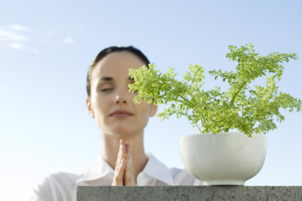 下腹痛、白帶變多，可能是骨盆腔炎