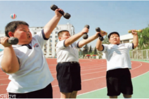 應(yīng)該注意小孩脂肪和膽固醇的攝取量嗎？