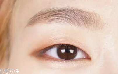 單眼皮眼妝的畫(huà)法步驟圖片 最流行的單眼皮眼妝畫(huà)法