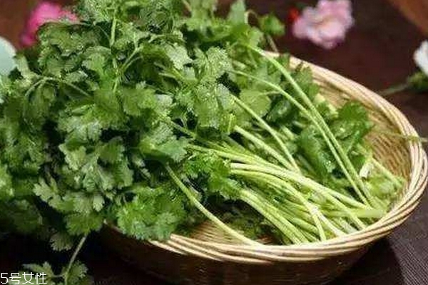 香菜會(huì)殺精嗎 沒(méi)有真實(shí)依據(jù)