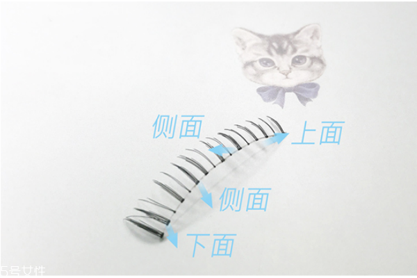 假睫毛可以戴著睡覺(jué)嗎 假睫毛的日常保養(yǎng)