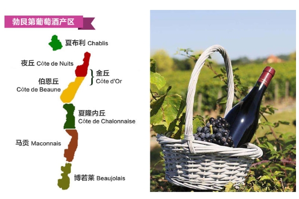 法國(guó)紅酒哪個(gè)地方的好 法國(guó)最有名3大產(chǎn)地