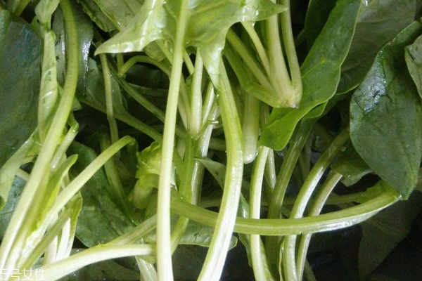 菠菜會過敏嗎 有這個(gè)可能