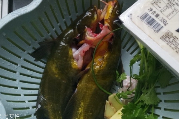 魚(yú)湯要不要放醋 可以適量放