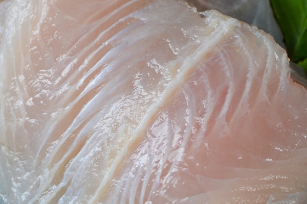 龍利魚(yú)怎么蒸 這樣蒸出來(lái)好美味