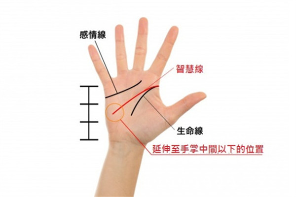 2019年手相看運(yùn)勢 盤點(diǎn)強(qiáng)勢三手相