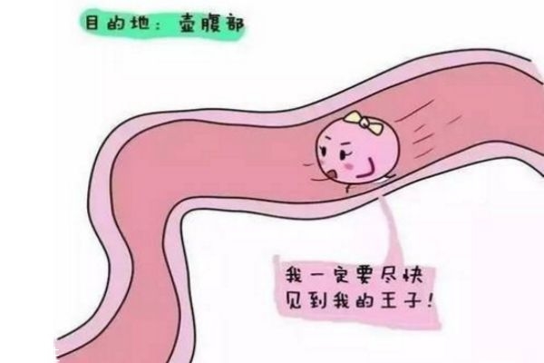 排卵期是哪幾天 排卵日有什么癥狀或感覺(jué)