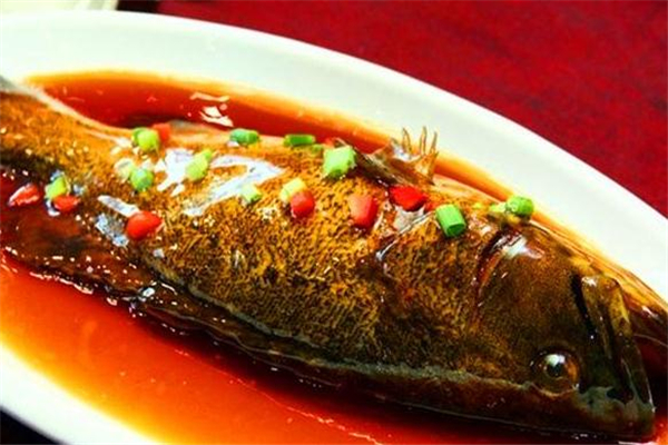 紅燒石斑魚的做法 家常做法很簡(jiǎn)單