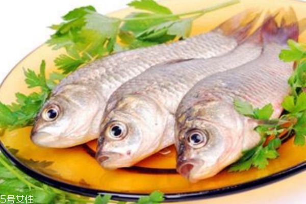 吃魚會(huì)長胖嗎 減肥人晚上能吃魚嗎