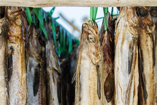 明太魚是什么魚 明太魚是海魚嗎
