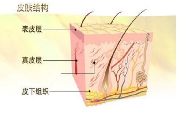 如何去臉上角質層呢 去角質層有什么好處呢