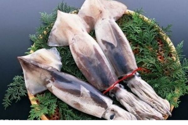 魷魚(yú)的價(jià)格是多少呢 魷魚(yú)怎么做好吃呢