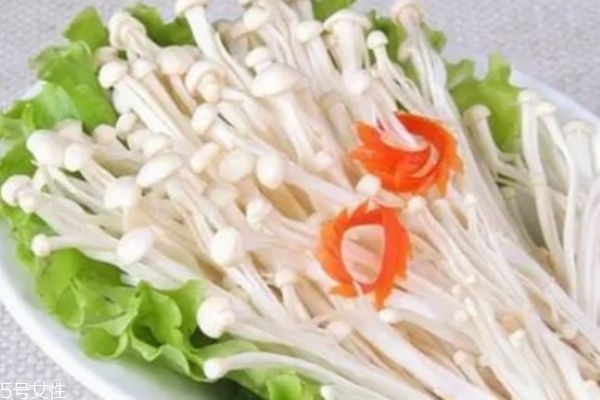 金針菇有什么營(yíng)養(yǎng)價(jià)值呢 金針菇生長(zhǎng)在什么環(huán)境下呢