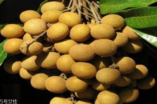 桂圓有什么營養(yǎng)價(jià)值呢 吃桂圓有什么好處呢