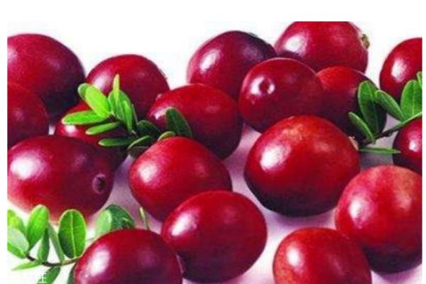 蔓越莓有什么營(yíng)養(yǎng)價(jià)值呢 吃蔓越莓有什么好處呢