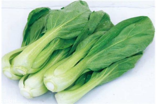 小白菜有什么營(yíng)養(yǎng)價(jià)值呢 吃小白菜有什么好處呢