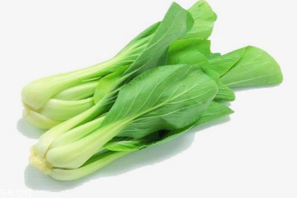 小白菜有什么營(yíng)養(yǎng)價(jià)值呢 吃小白菜有什么好處呢