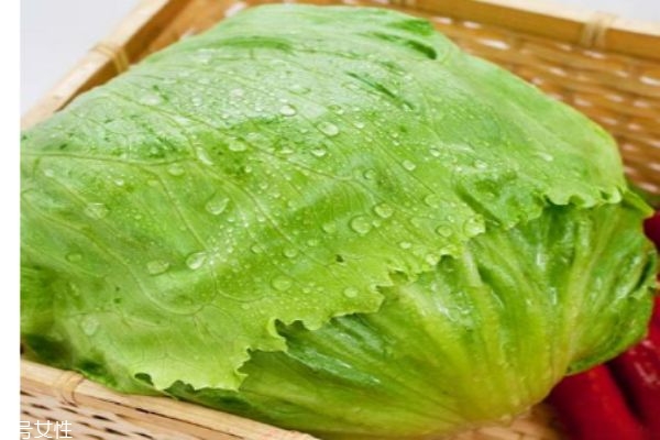 什么是西生菜呢 西生菜有什么營養(yǎng)價(jià)值呢