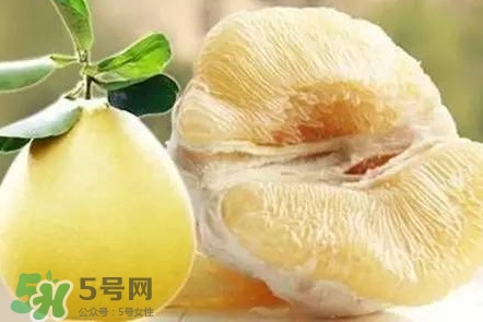 蜜柚是哪個(gè)季節(jié)的水果？蜜柚和沙田柚的區(qū)別是什么？