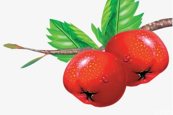 山楂一般幾月份成熟呢 山楂的市場(chǎng)價(jià)格是多少呢