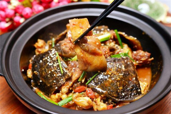 吃甲魚會(huì)過敏嗎 吃甲魚過敏怎么辦