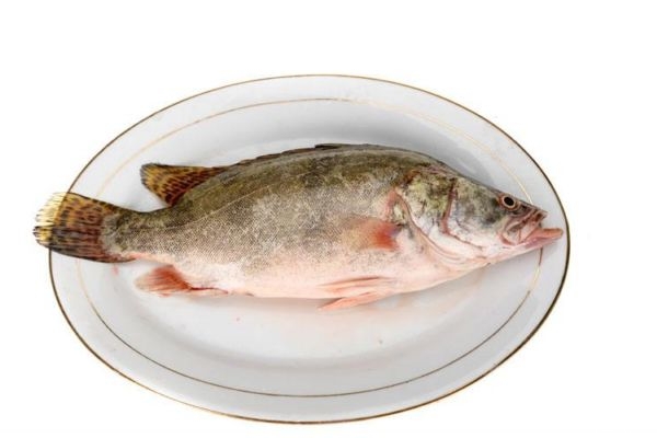 吃鱖魚(yú)有什么注意的呢 孕婦可以吃鱖魚(yú)嗎