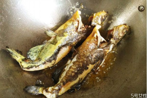 吃黃顙魚有什么注意的呢 黃顙魚適合什么人群呢