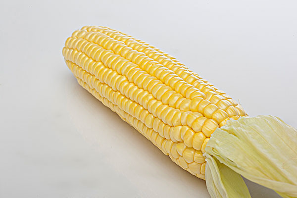 吃玉米的最佳時(shí)間 玉米?？梢灾竺鏃l嗎