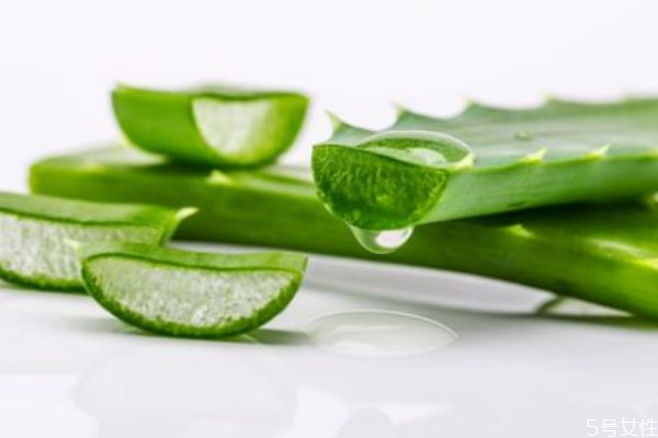 蘆薈膠用久了會(huì)長(zhǎng)毛嗎 每天涂蘆薈膠睡覺好嗎