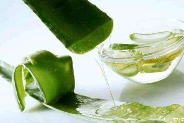 蘆薈膠用久了會(huì)長(zhǎng)毛嗎 每天涂蘆薈膠睡覺好嗎