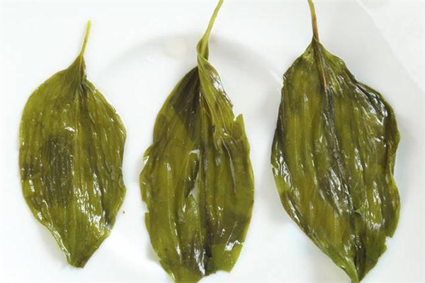 丁香茶對(duì)肝臟有害嗎 丁香茶對(duì)腎臟有危害嗎