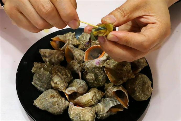 海螺不能和什么一起吃 海螺內臟可以吃嗎