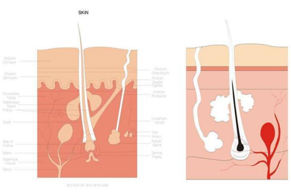 糾結(jié)身體乳哪個(gè)牌子好？從功效下手才穩(wěn)