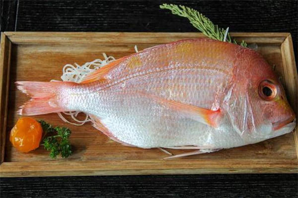 孕婦可以吃鯛魚(yú)嗎 鯛魚(yú)適合什么人吃