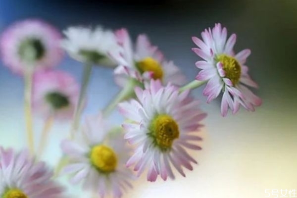 價(jià)值觀(guān)不同的夫妻如何相處 夫妻三觀(guān)不合如何挽回