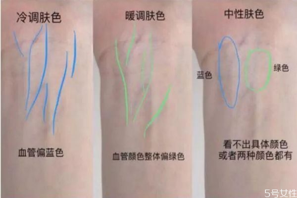 皮膚泛紅選黃調還是粉調 粉底液選粉白還是黃白