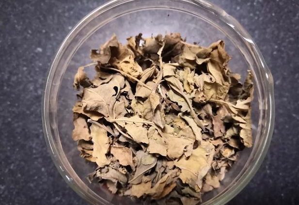 喝桑葉茶能減肥嗎?有什么副作用？