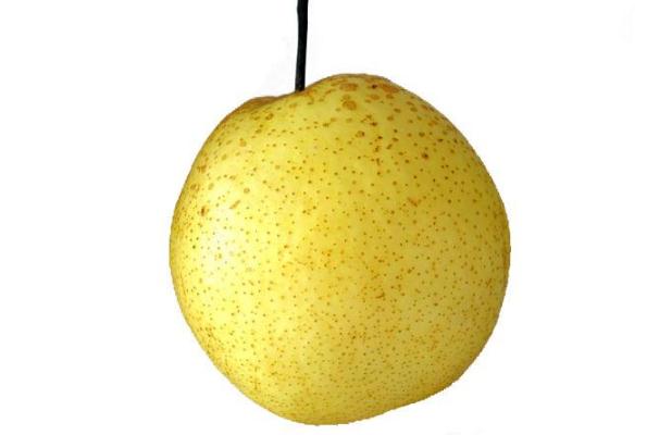 梨子的營(yíng)養(yǎng)價(jià)值及功效 吃梨子的好處