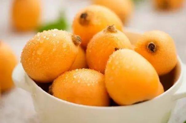 枇杷有什么功效和作用 枇杷的營養(yǎng)價(jià)值