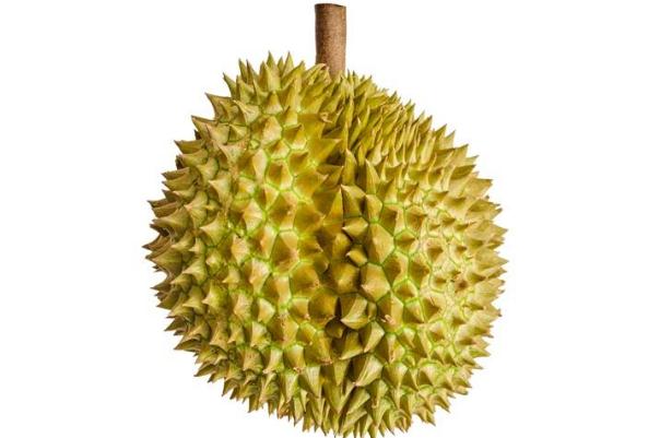榴蓮可以緩解痛經(jīng)么 榴蓮可以放多長時(shí)間