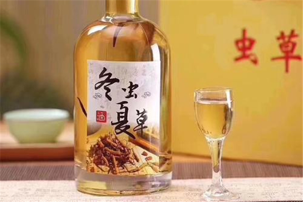 蟲(chóng)草可以泡酒嗎 蟲(chóng)草泡酒的正確方法
