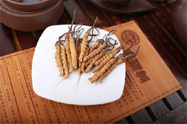 蟲(chóng)草泡酒搭配什么最好 蟲(chóng)草泡酒禁忌